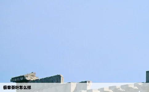 极客茶叶怎么样
