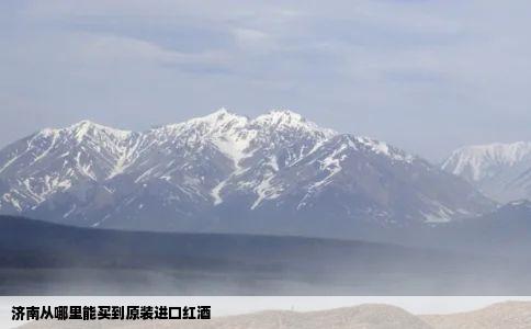 济南从哪里能买到原装进口红酒