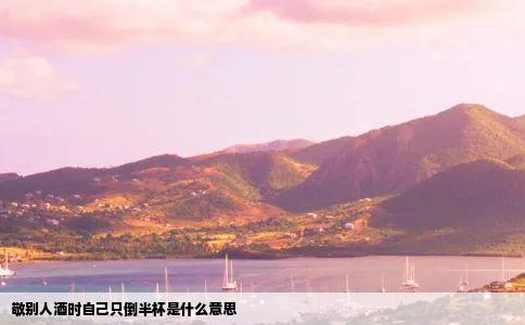 敬别人酒时自己只倒半杯是什么意思