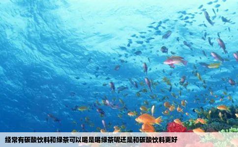经常有碳酸饮料和绿茶可以喝是喝绿茶呢还是和碳酸饮料更好