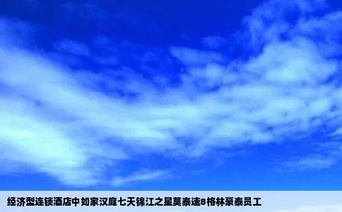 经济型连锁酒店中如家汉庭七天锦江之星莫泰速8格林豪泰员工