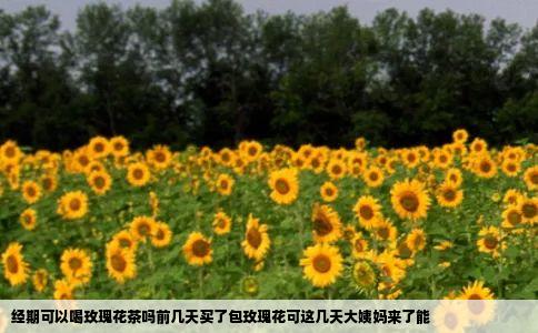 经期可以喝玫瑰花茶吗前几天买了包玫瑰花可这几天大姨妈来了能