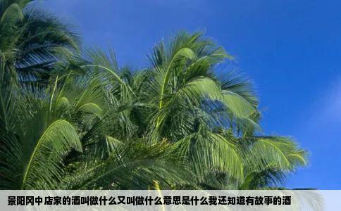 景阳冈中店家的酒叫做什么又叫做什么意思是什么我还知道有故事的酒