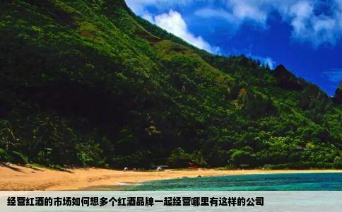 经营红酒的市场如何想多个红酒品牌一起经营哪里有这样的公司