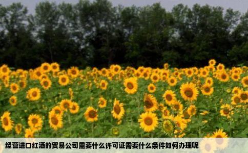 经营进口红酒的贸易公司需要什么许可证需要什么条件如何办理呢