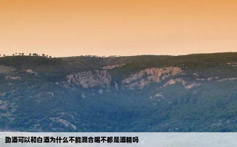劲酒可以和白酒为什么不能混合喝不都是酒精吗