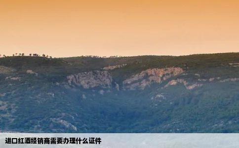 进口红酒经销商需要办理什么证件