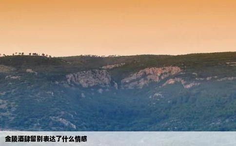 金陵酒肆留别表达了什么情感