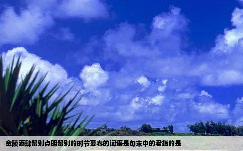金陵酒肆留别点明留别的时节暮春的词语是句末中的君指的是