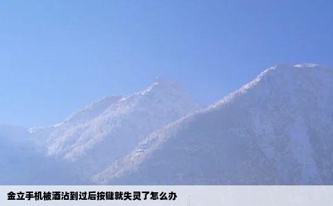 金立手机被酒沾到过后按键就失灵了怎么办