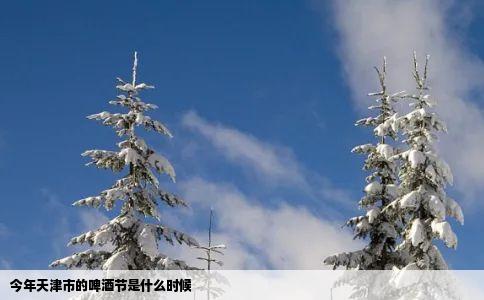 今年天津市的啤酒节是什么时候