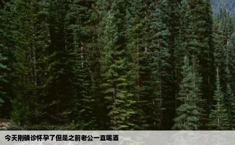 今天刚确诊怀孕了但是之前老公一直喝酒