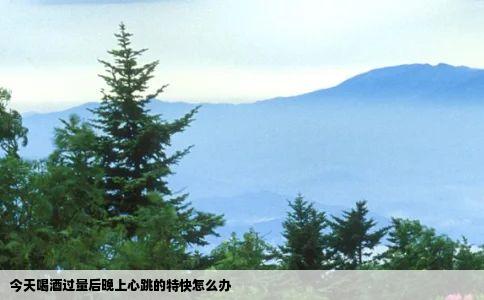 今天喝酒过量后晚上心跳的特快怎么办