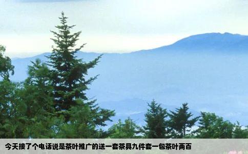 今天接了个电话说是茶叶推广的送一套茶具九件套一包茶叶两百