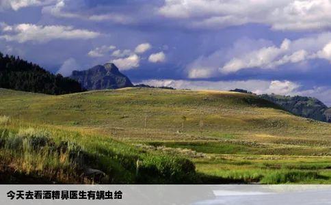 今天去看酒糟鼻医生有螨虫给