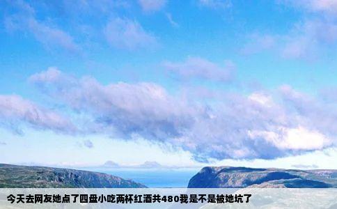 今天去网友她点了四盘小吃两杯红酒共480我是不是被她坑了