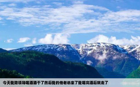 今天我陪领导喝酒酒干了然后我的他老总来了我喝完酒后就走了
