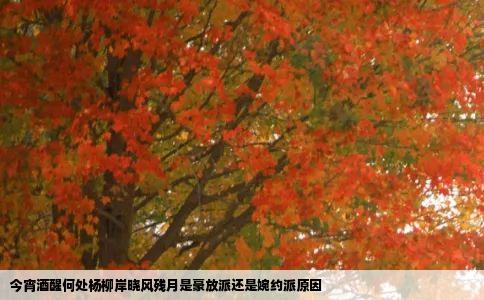 今宵酒醒何处杨柳岸晓风残月是豪放派还是婉约派原因