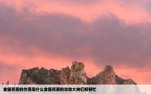 金银花茶的作用是什么金银花茶的功效大神们帮帮忙