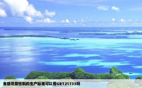 金银花茶饮料的生产标准可以用GBT21733吗