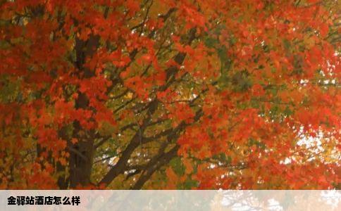 金驿站酒店怎么样