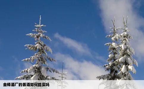 金樽酒厂的酱酒如何能买吗