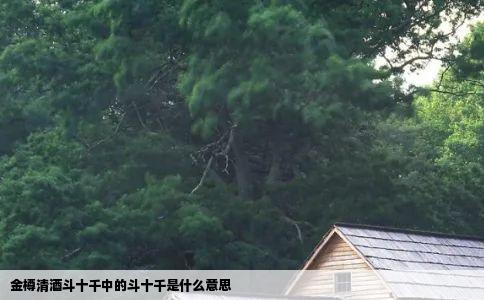 金樽清酒斗十千中的斗十千是什么意思