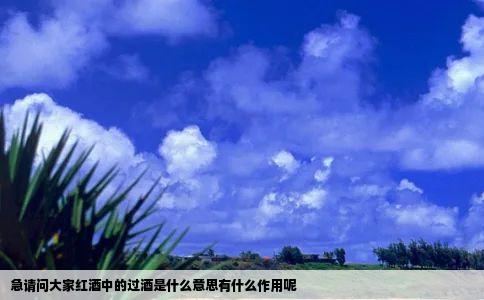 急请问大家红酒中的过酒是什么意思有什么作用呢