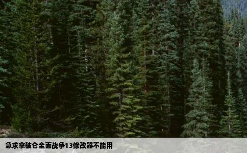 急求拿破仑全面战争13修改器不能用