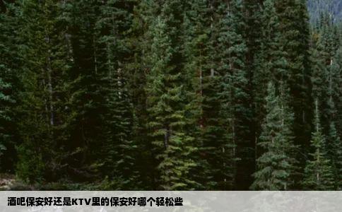 酒吧保安好还是KTV里的保安好哪个轻松些
