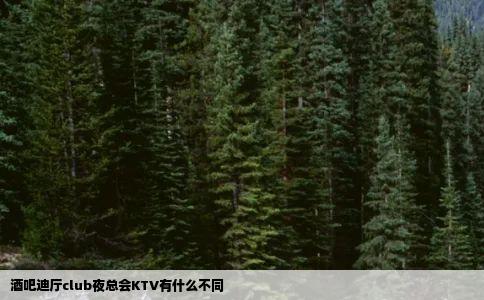 酒吧迪厅club夜总会KTV有什么不同
