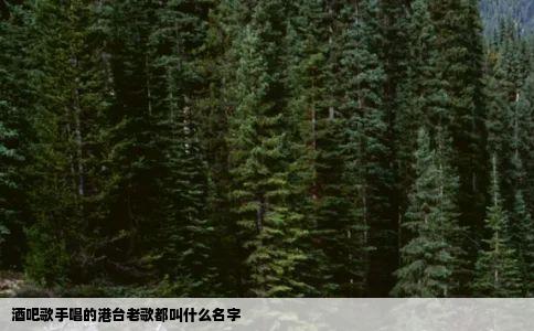 酒吧歌手唱的港台老歌都叫什么名字