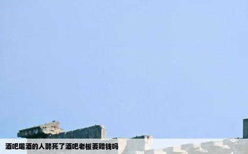 酒吧喝酒的人醉死了酒吧老板要赔钱吗