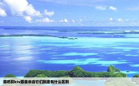酒吧和ktv跟夜总会它们到底有什么区别