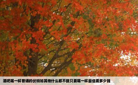 酒吧喝一杯普通的伏特加其他什么都不做只要喝一杯最低要多少钱