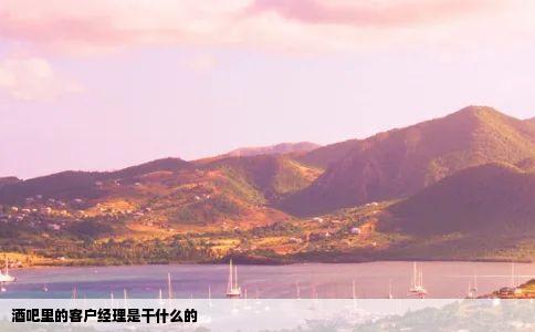 酒吧里的客户经理是干什么的