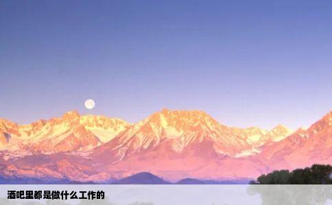 酒吧里都是做什么工作的