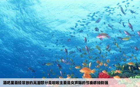 酒吧里面经常放的高潮部分是啦啦主要是女声唱的节奏感特别强