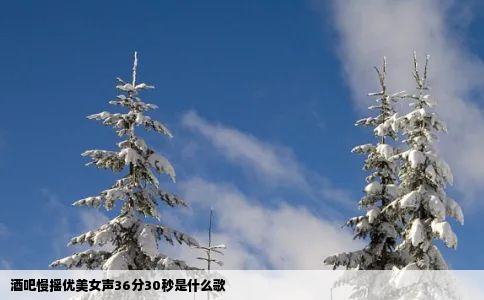 酒吧慢摇优美女声36分30秒是什么歌