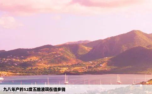 九八年产的52度五粮液现在值多钱