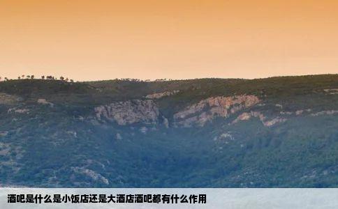 酒吧是什么是小饭店还是大酒店酒吧都有什么作用