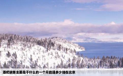 酒吧销售主要是干什么的一个月能赚多少钱在北京