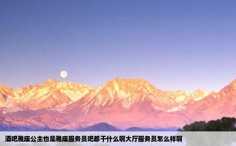 酒吧雅座公主也是雅座服务员吧都干什么啊大厅服务员怎么样啊