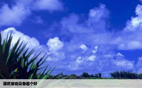 酒吧音响设备哪个好