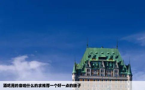 酒吧用的音响什么的求推荐一个好一点的牌子