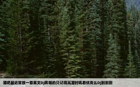 酒吧最近常放一首英文DJ男唱的只记得高潮时吼着优克么DJ到到到