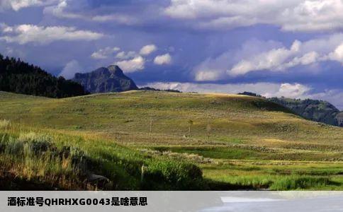 酒标准号QHRHXG0043是啥意思