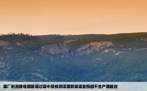 酒厂利用酵母菌酿酒过程中经检测活菌数量适宜但却不生产酒精应