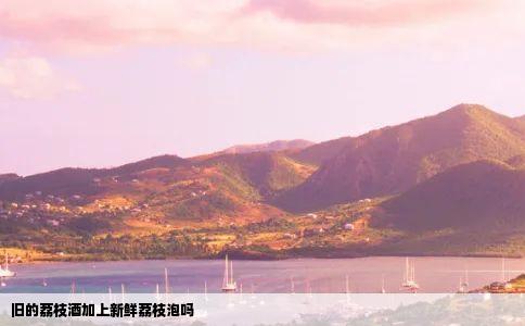 旧的荔枝酒加上新鲜荔枝泡吗