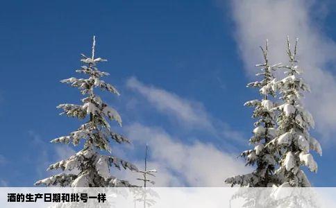 酒的生产日期和批号一样
